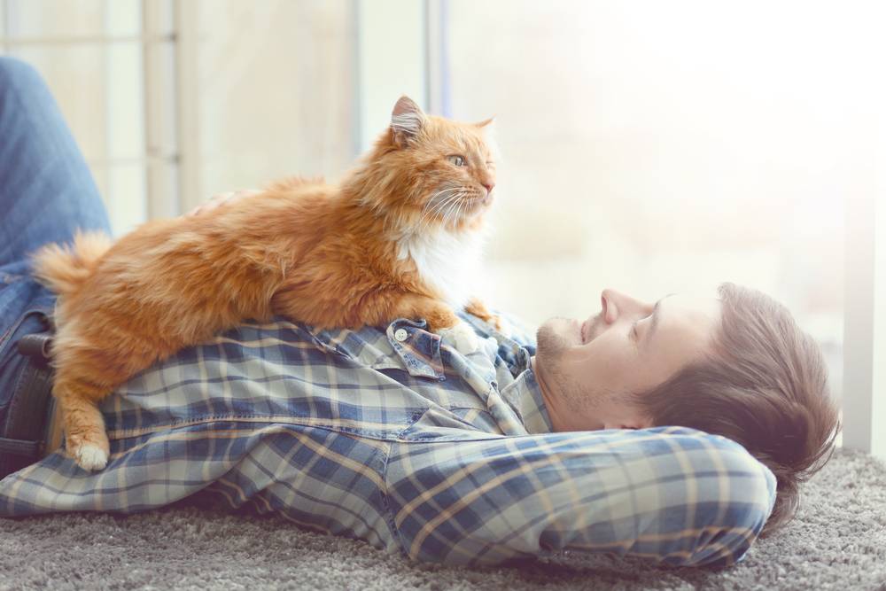 Jeune homme avec un chat mignon allongé sur le sol