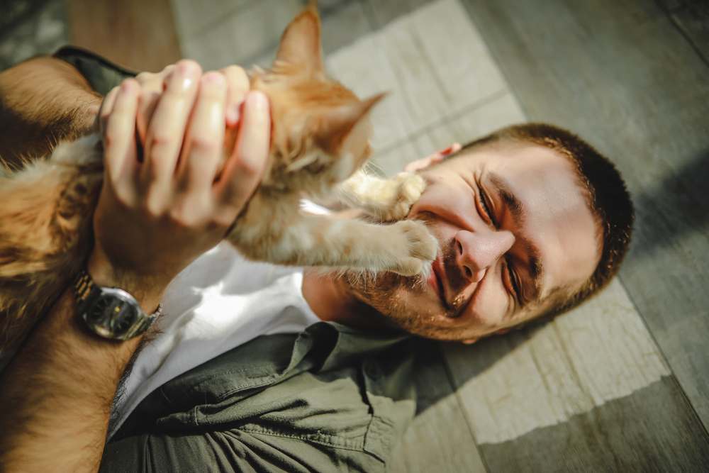 un jeune homme est allongé sur le sol et serre dans ses bras des chats Maine Coon