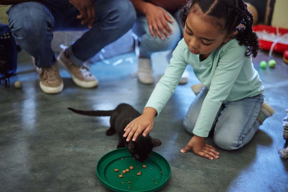 Fille nourrissant un chaton dans un refuge pour animaux