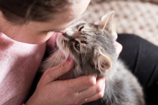 10 façons dont votre chat communique avec vous.