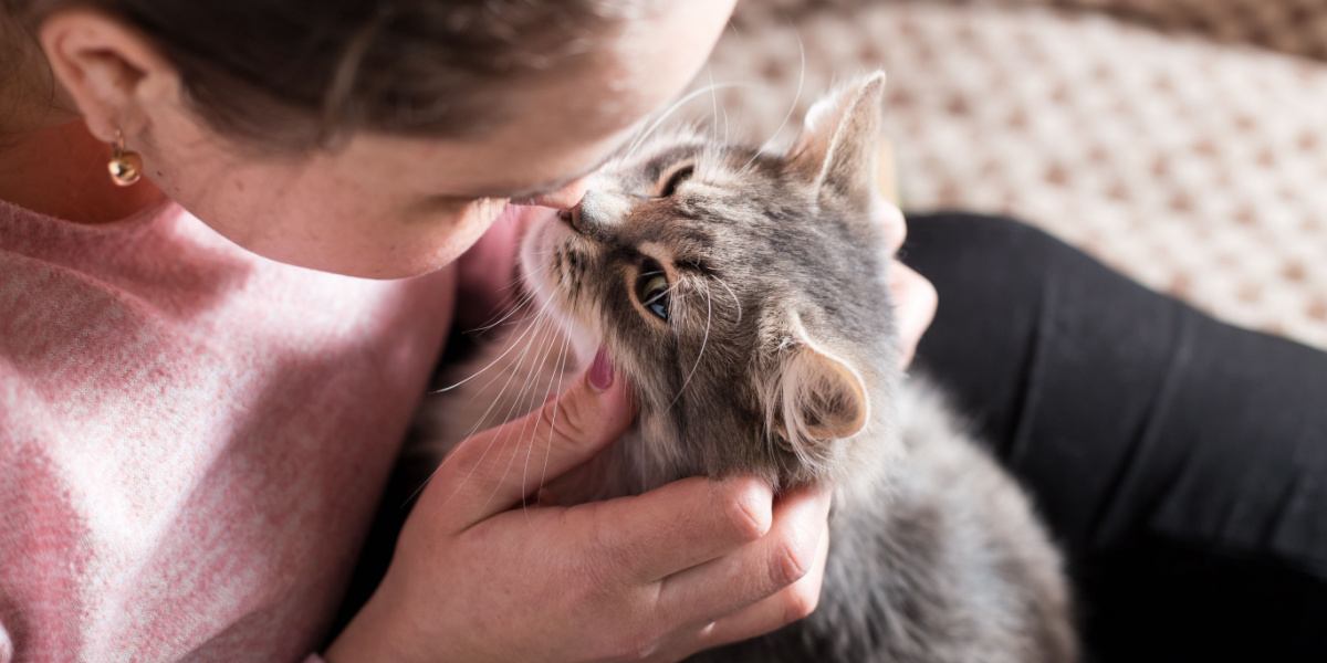 fille embrassant un chat sur son nez