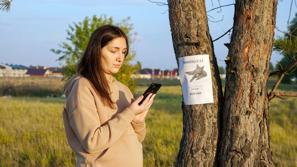 affiche de chat disparu accrochée sur un tronc d'arbre