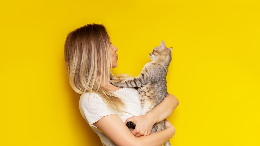 une femme tient un chat tigré dans ses mains