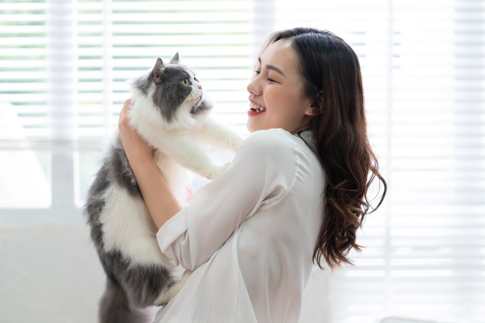 femme jouant avec un chat à la maison