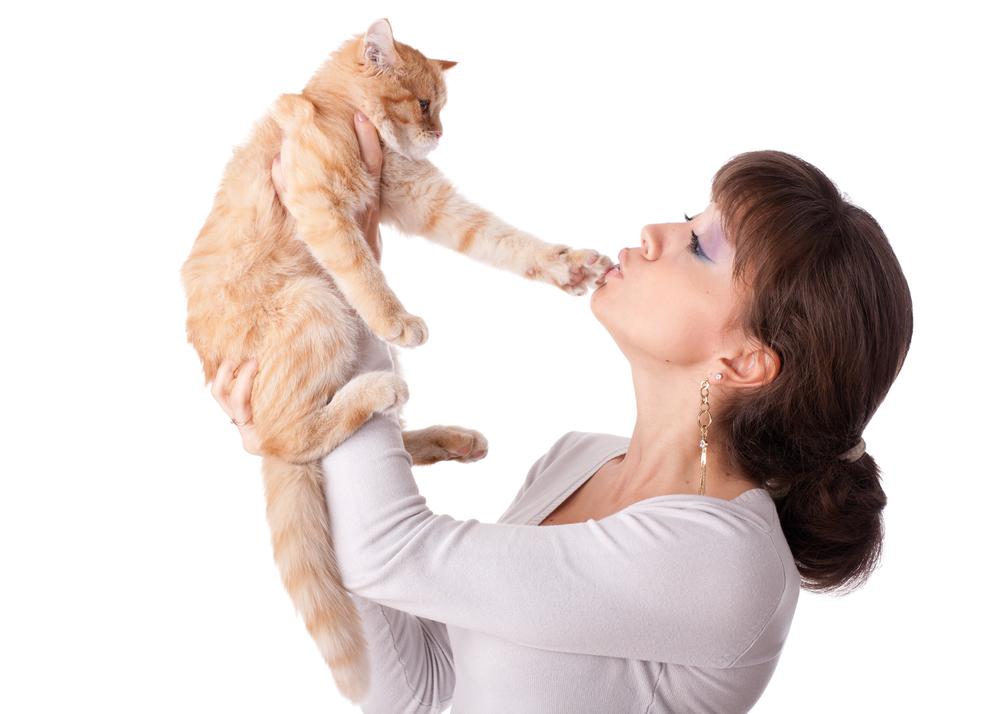 Femme avec un petit chaton amusant.