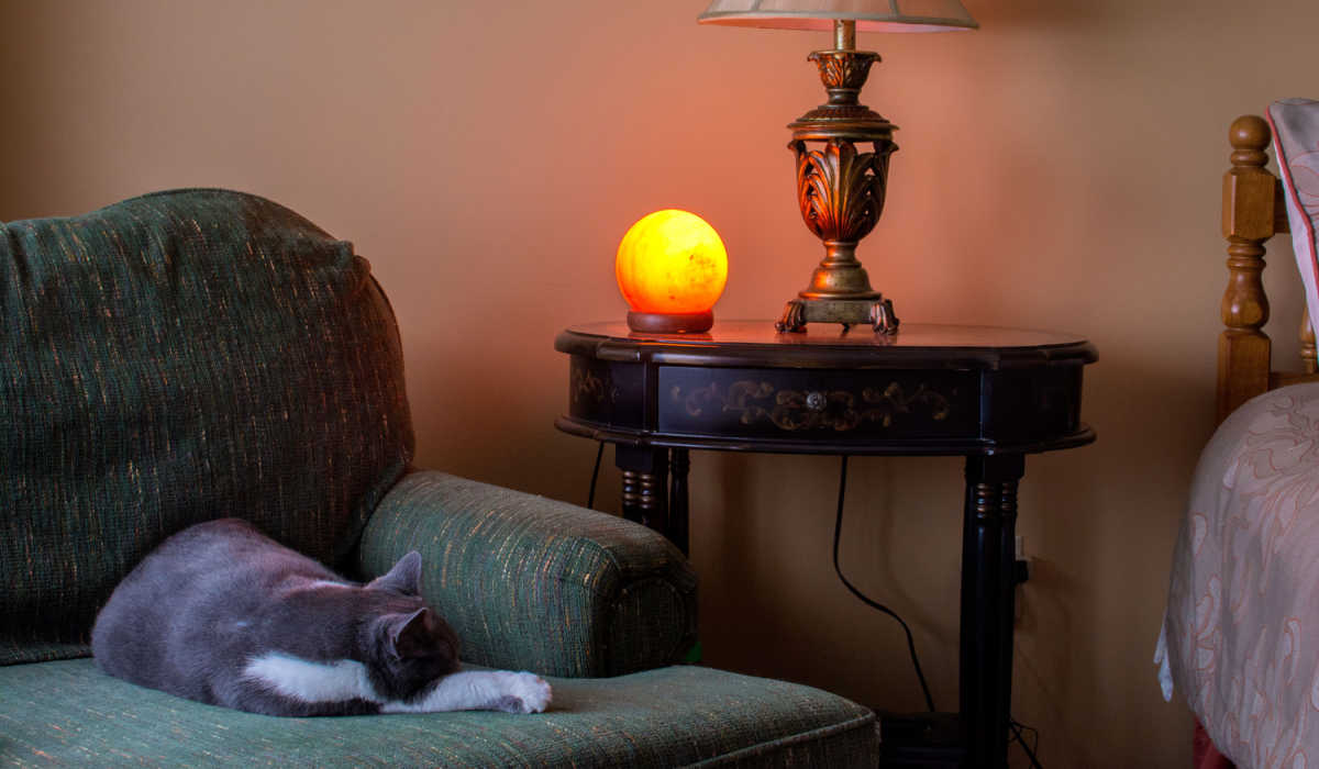 Un chat dormant paisiblement à côté d'une lampe de sel de l'Himalaya, capturant un moment serein et chaleureux dans une atmosphère apaisante.