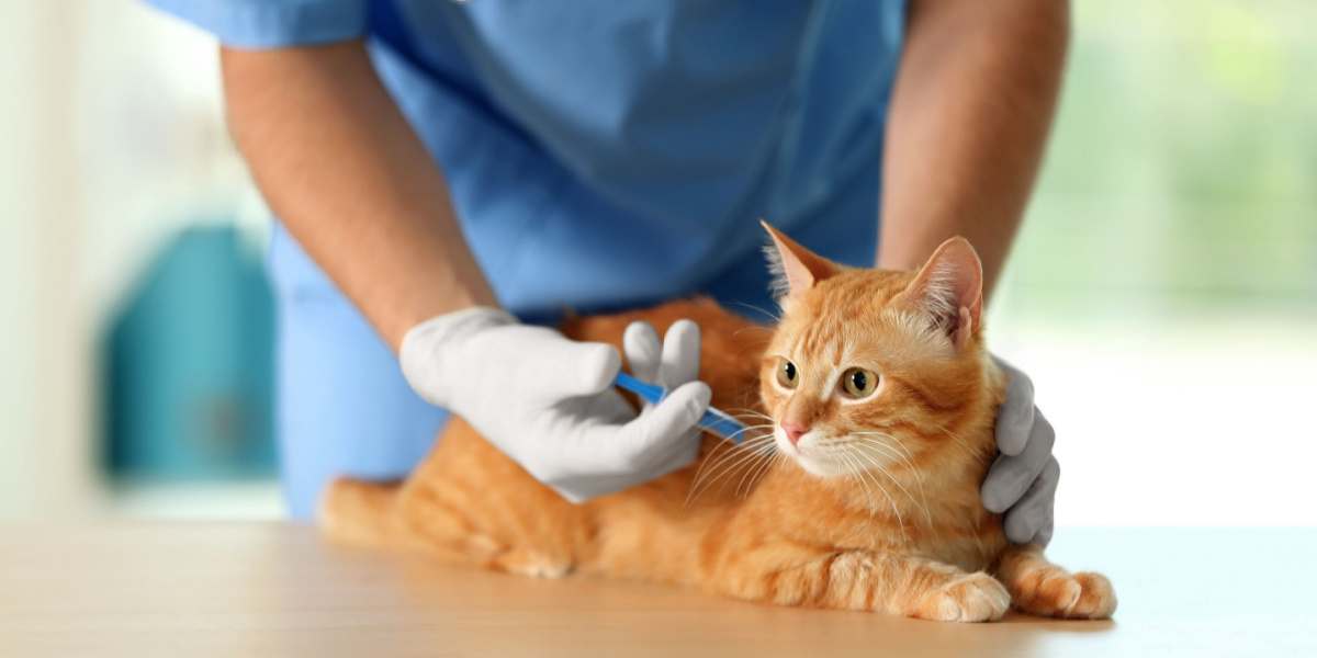 Vétérinaire administrant un vaccin à un chat dans une clinique vétérinaire, assurant la santé et le bien-être du chat