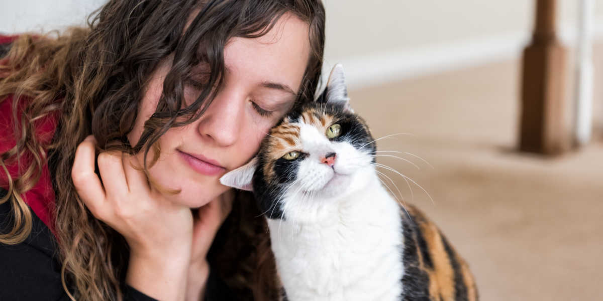 Les chats marquent leur visage avec leur odeur