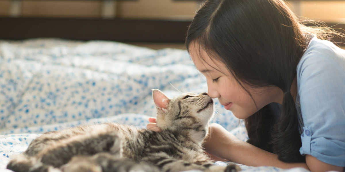 Chat léchant et reniflant le visage