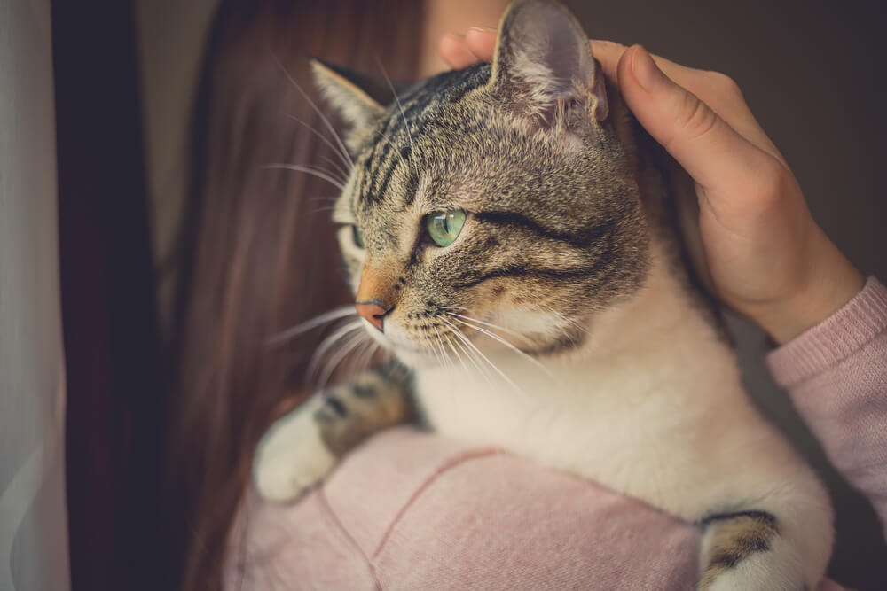 Jeune femme tenant affectueusement un chat.