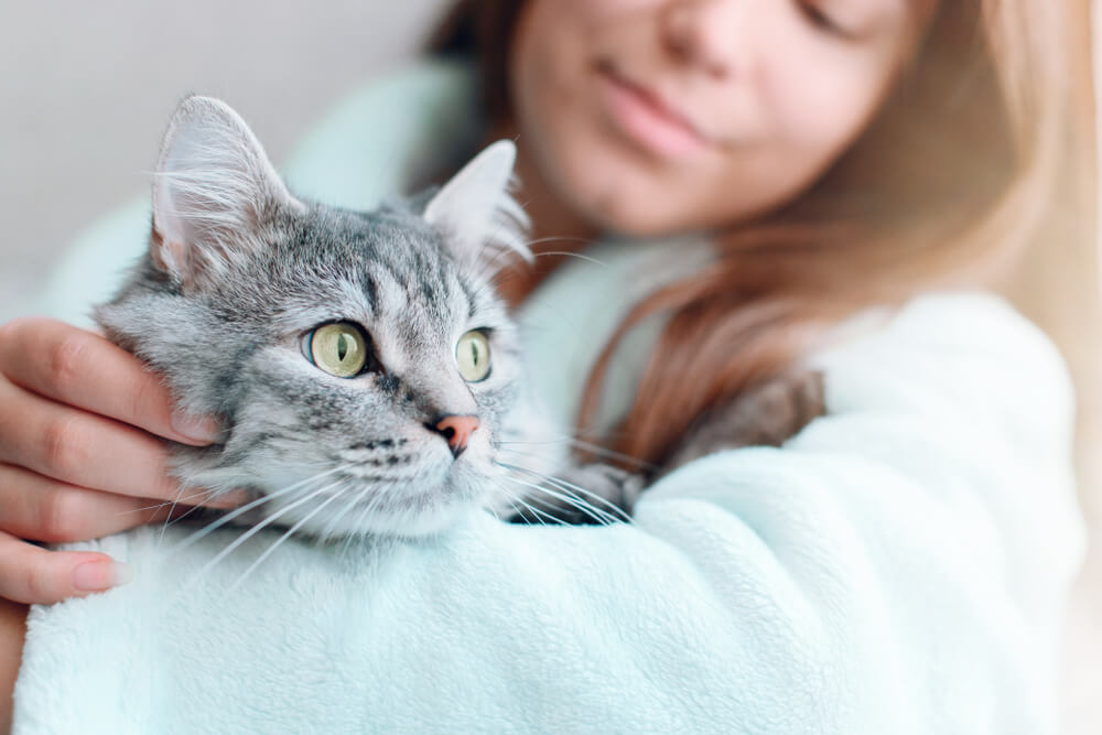 femme à la maison tenant et serrant dans ses bras son joli chat tout doux