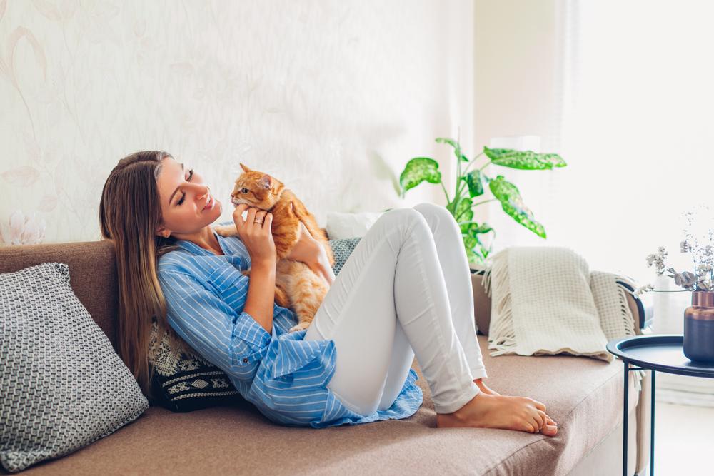 Jouer avec un chat à la maison