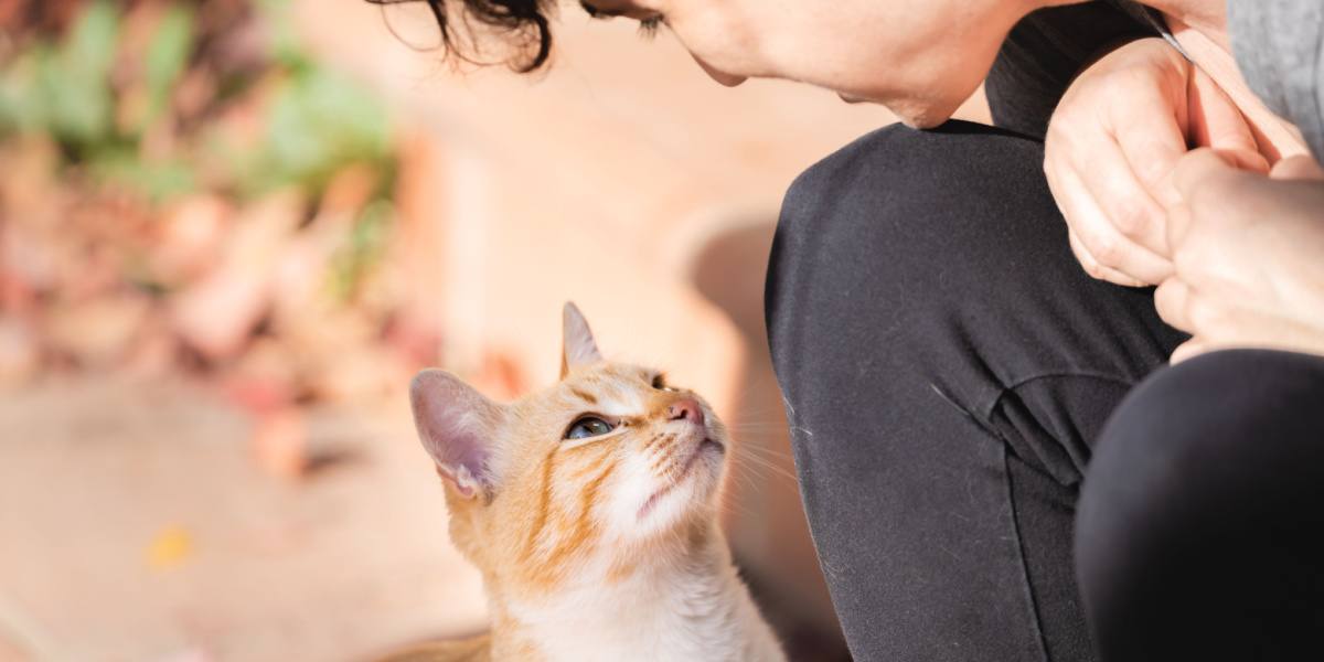 Jeune gardien de chat regardant avec amour