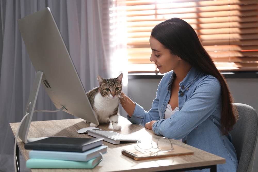 Jeune femme caressant un chat à table