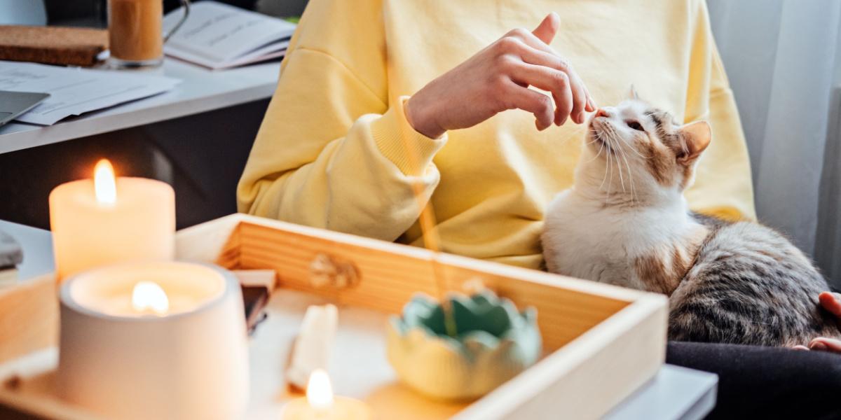 un chat assis près d'une table avec des bougies allumées, soulignant le risque potentiel d'incendie et la nécessité de prudence.