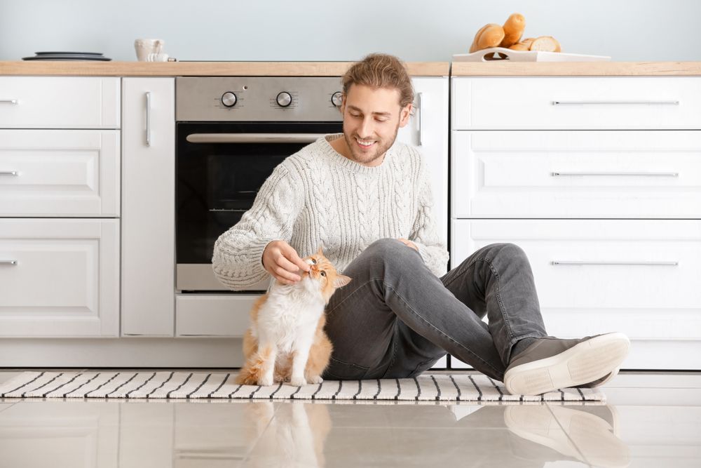 Un homme nourrit un chat mignon dans la cuisine