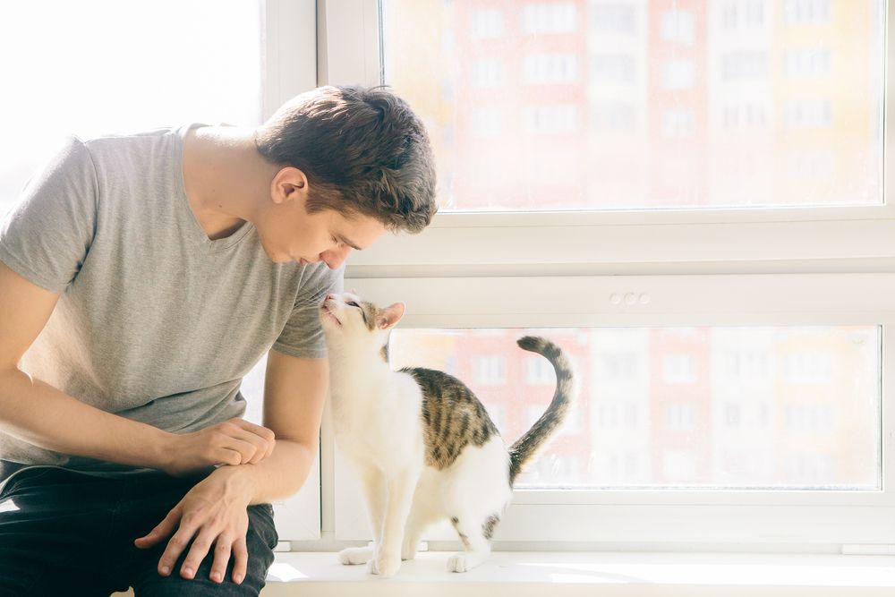 un jeune homme est assis avec un chat