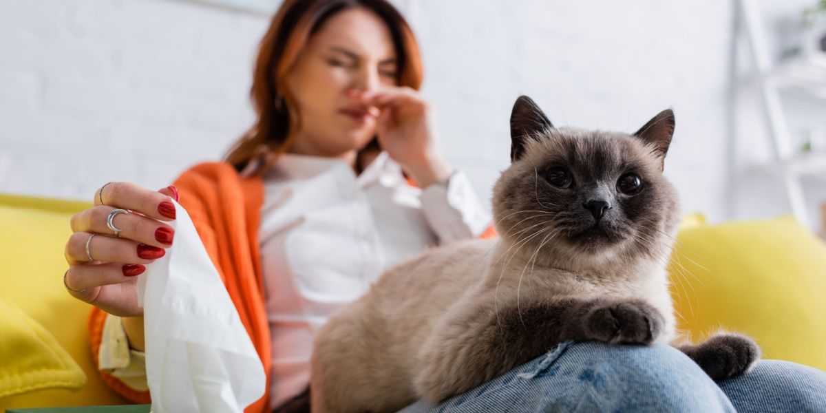 Chat près d'une femme qui éternue