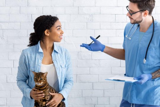 Et si vous n'avez pas les moyens de payer les soins vétérinaires pour votre chat ? Vous avez des options