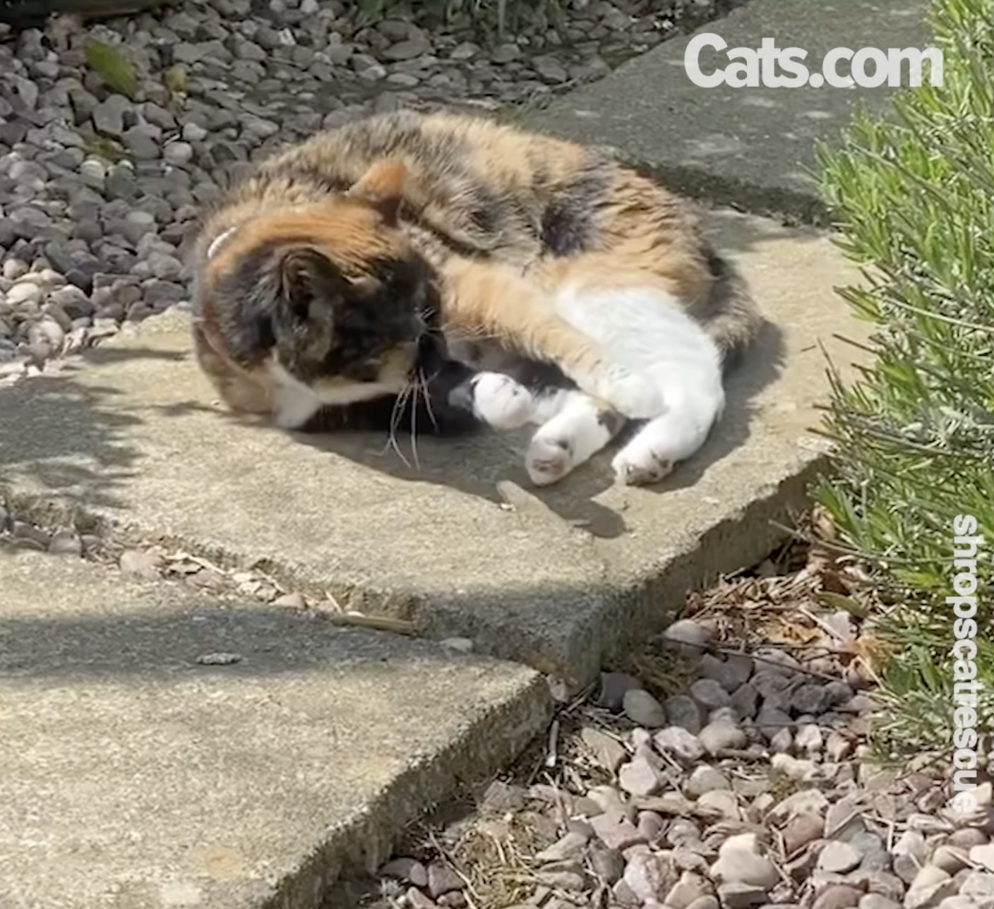 Un villageois âgé profite du soleil au manoir de Moggie