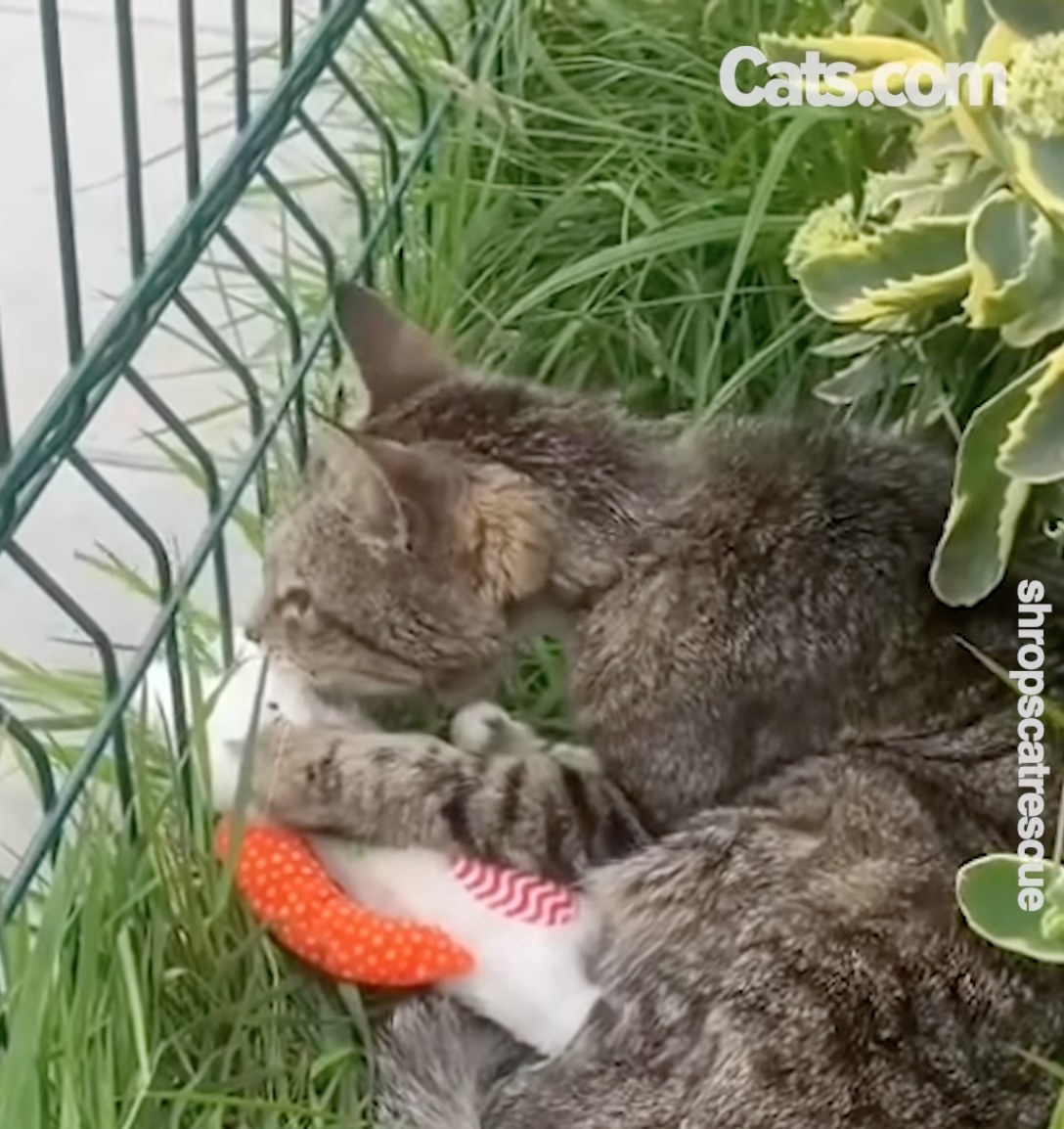 Un villageois se détend dans l'herbe