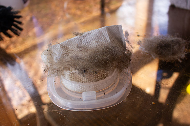 Un petit filtre d'aspirateur en papier avec des poils de chat et des débris provenant du nettoyage d'un arbre à chat.