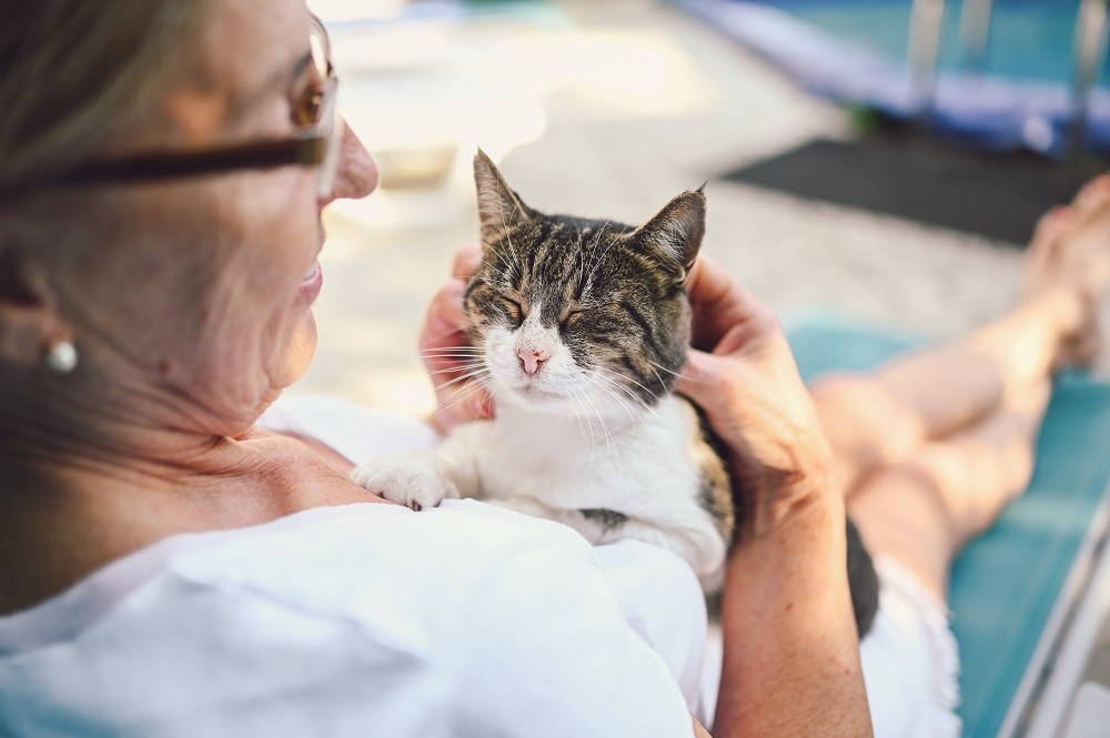 Heureuse femme âgée serrant dans ses bras un chat tigré domestique