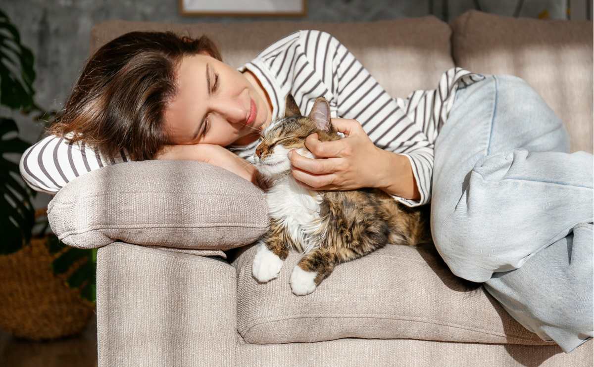 Portrait d'une jeune femme tenant un mignon chat sibérien aux yeux verts