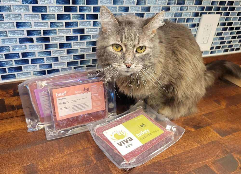 Gardez la nourriture pour chat fraîche : Paquets de nourriture pour chat congelée, fraîche et crue.