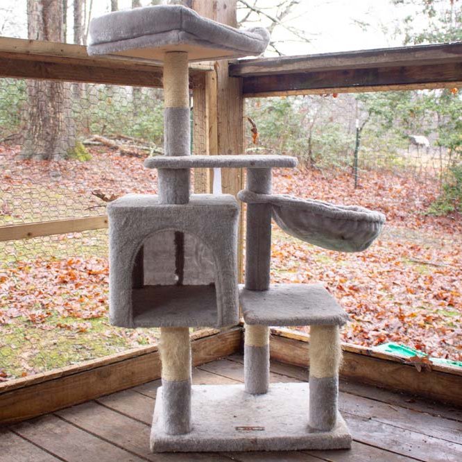 Grand arbre à chat dans le coin contre les fenêtres.