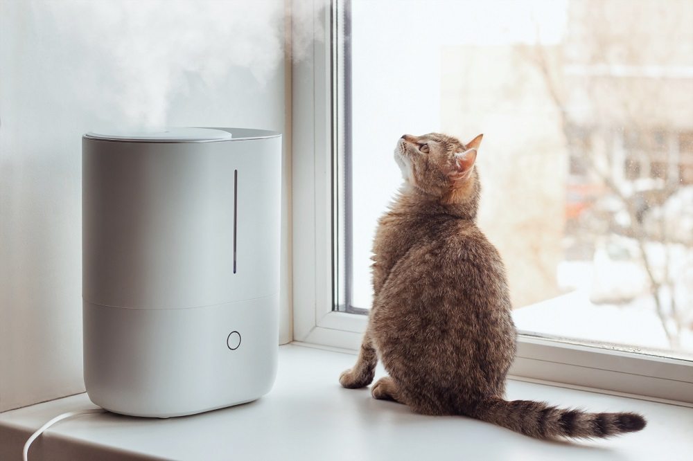 Un jeune chat tigré est assis sur le rebord de la fenêtre et regarde la vapeur de l'humidificateur d'air blanc.