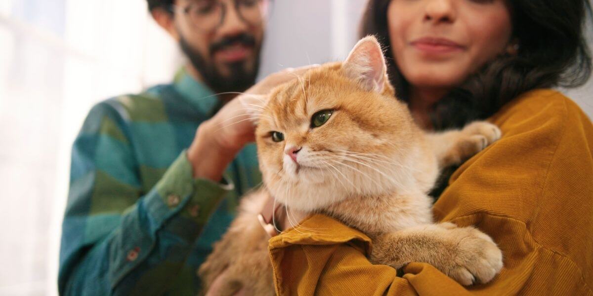 Un couple indien se tient debout avec son chat orange à poil court