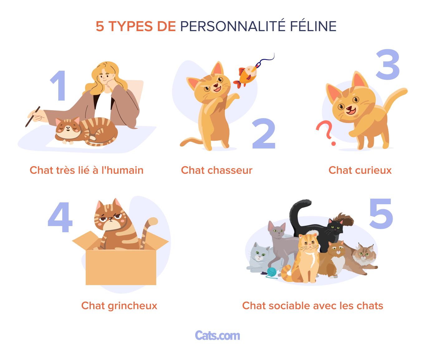 5 Spectre de personnalité féline