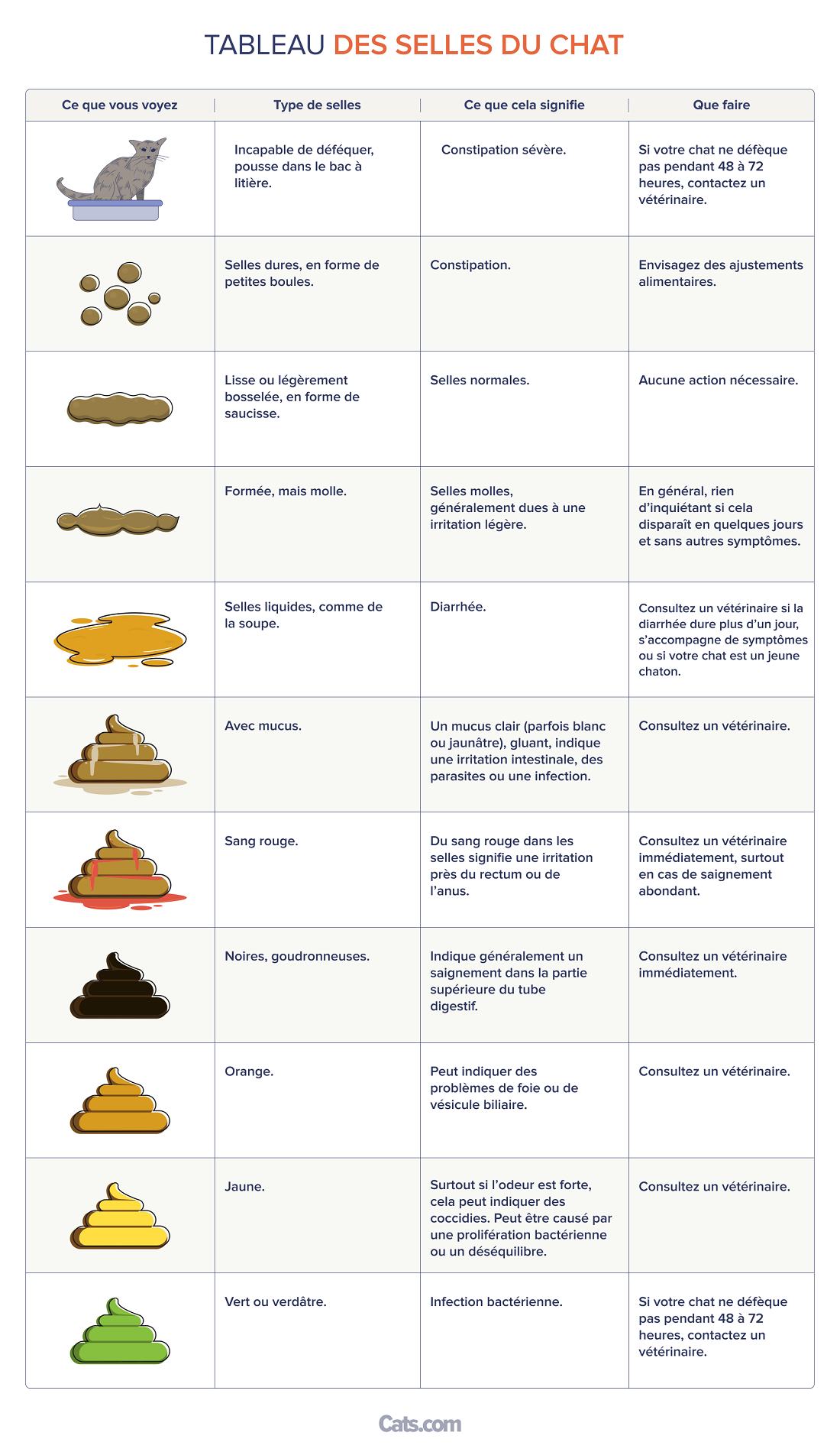 tableau des selles de chat