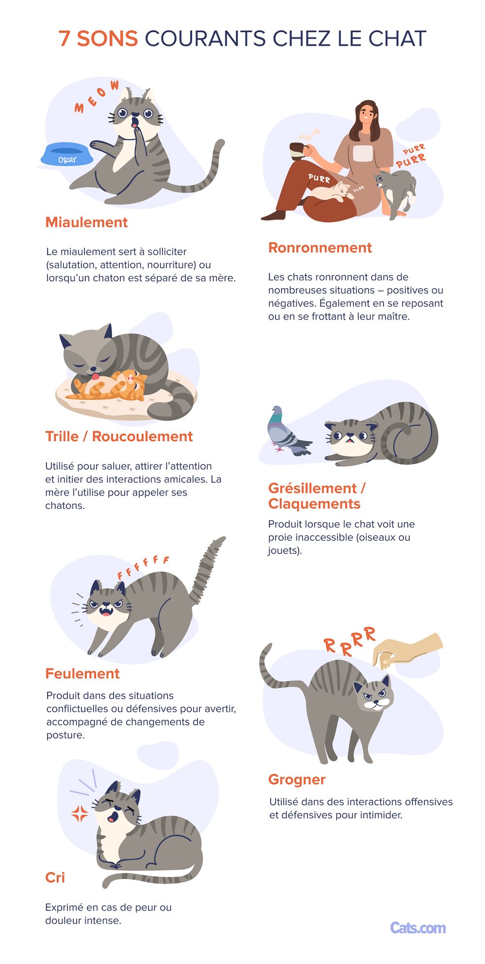 Liste des vocalisations émises par les chats