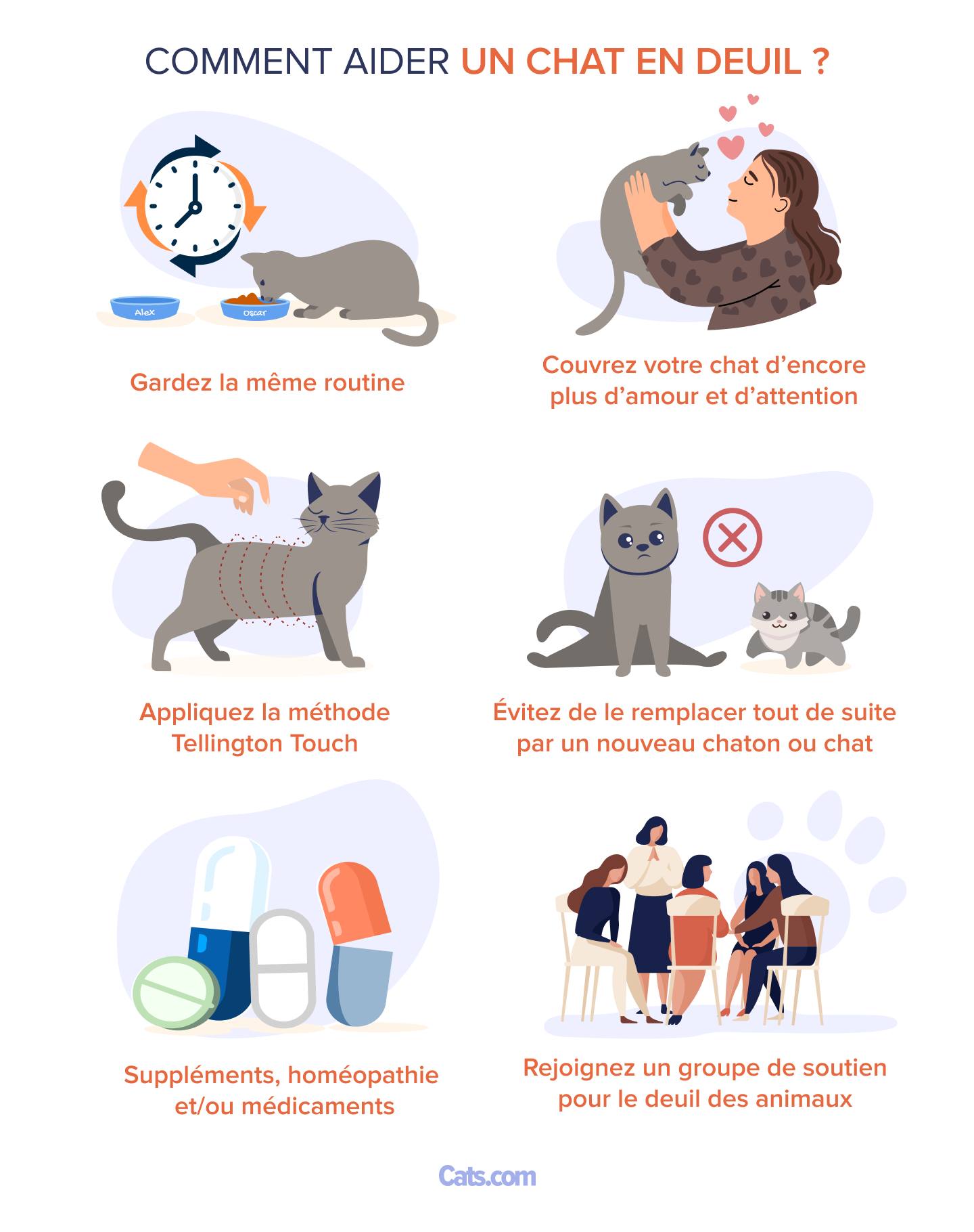 Comment aider un chat en deuil
