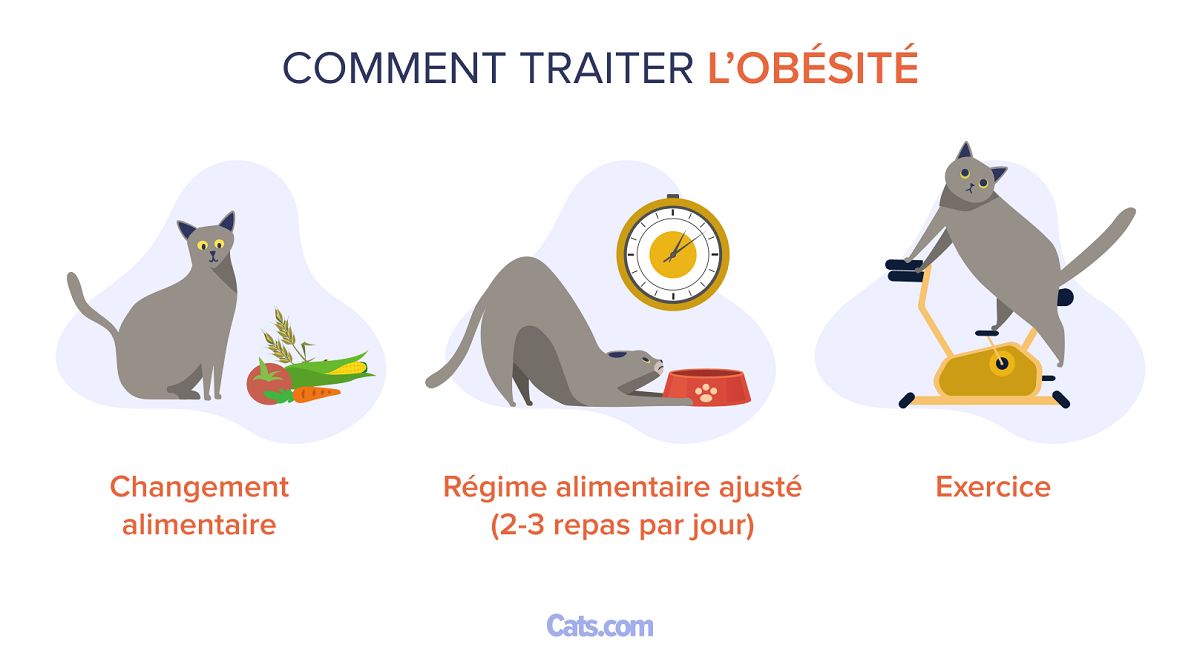 Comment traiter l'obésité
