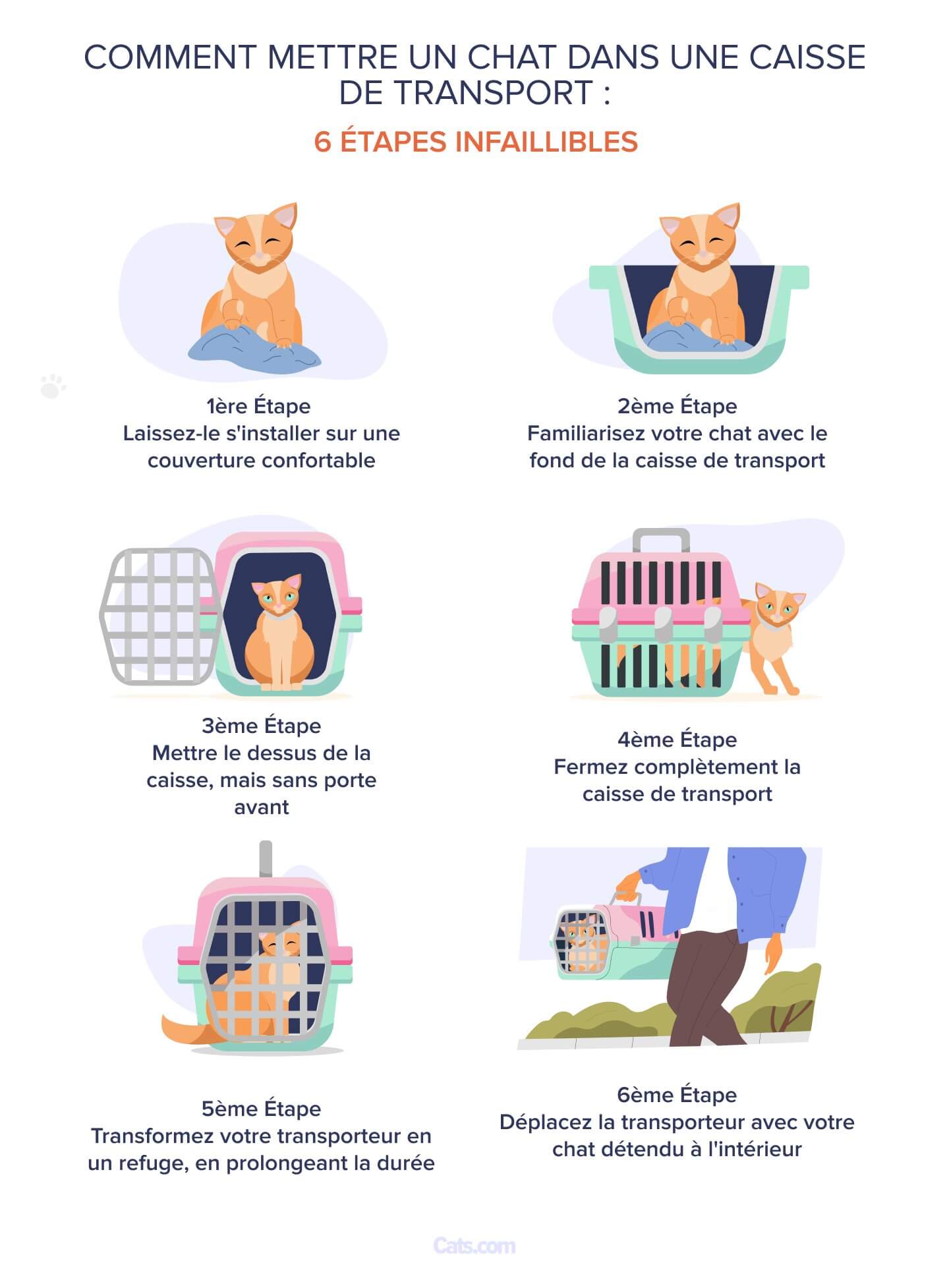 Guide de formation étape par étape pour faire entrer un chat dans une cage de transport