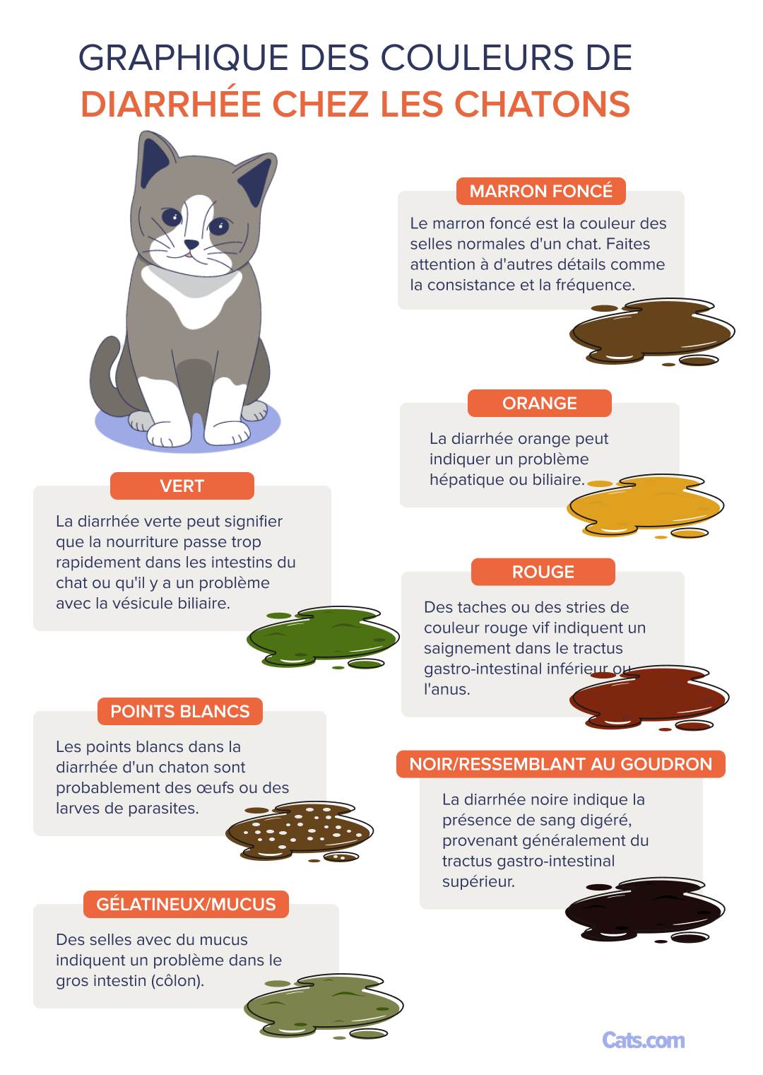 Tableau de couleurs de la diarrhée du chaton
