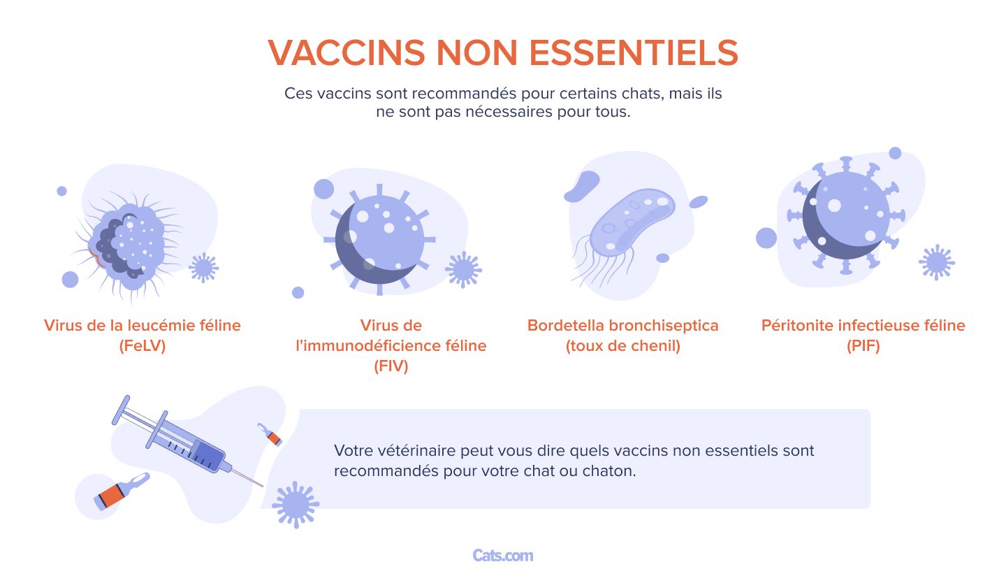 non essentiels