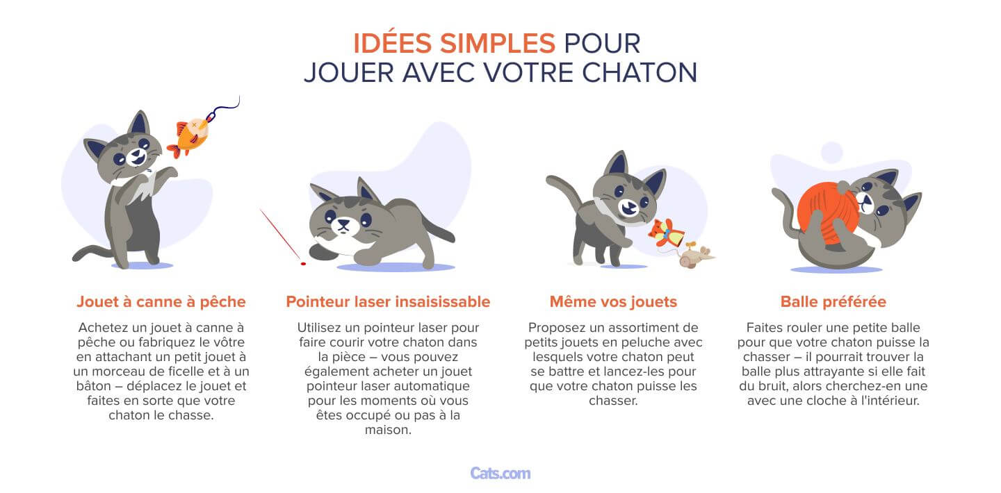 Image fournissant des idées simples pour jouer avec un chaton.