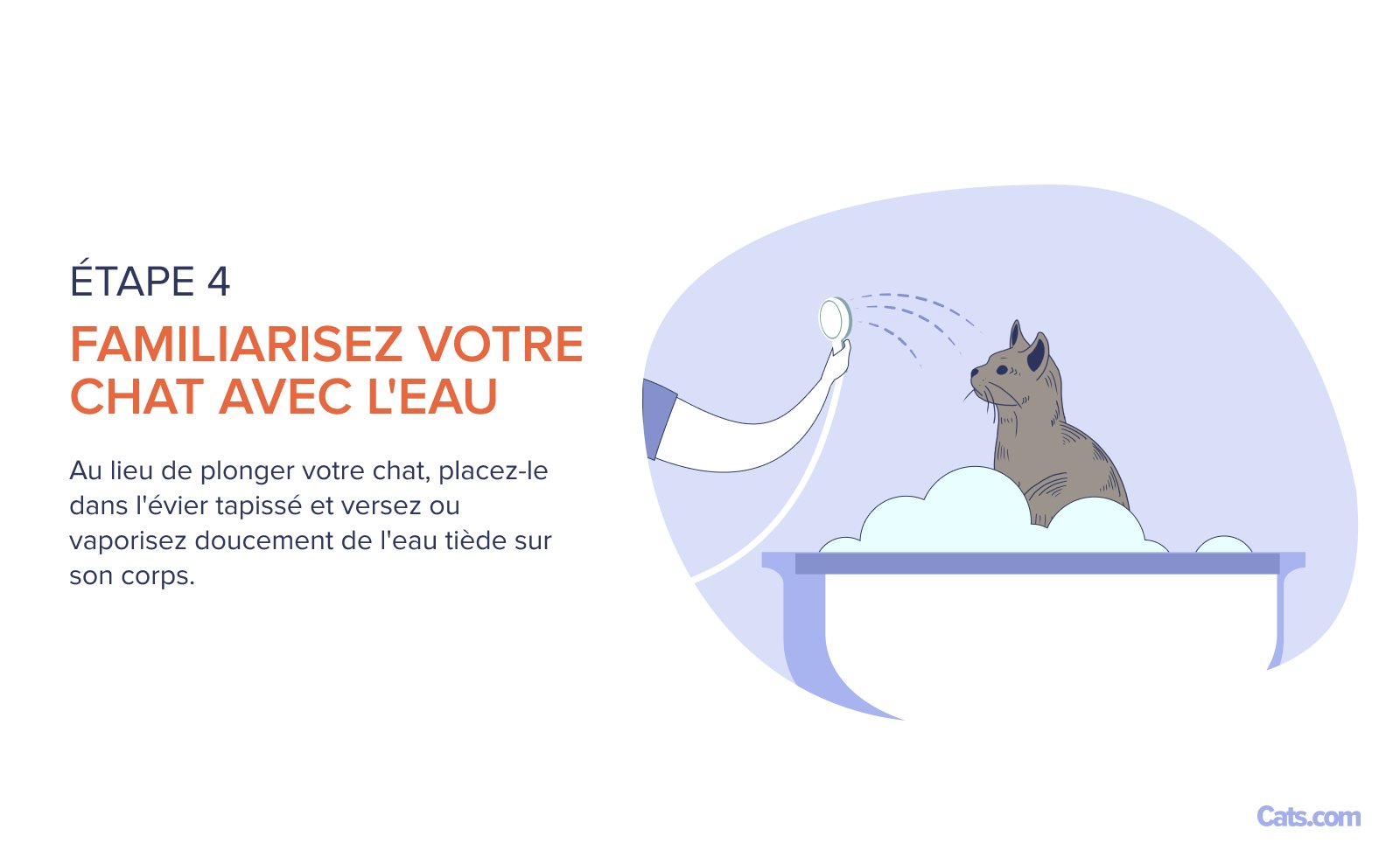 Étape 4 : Introduction à l'eau