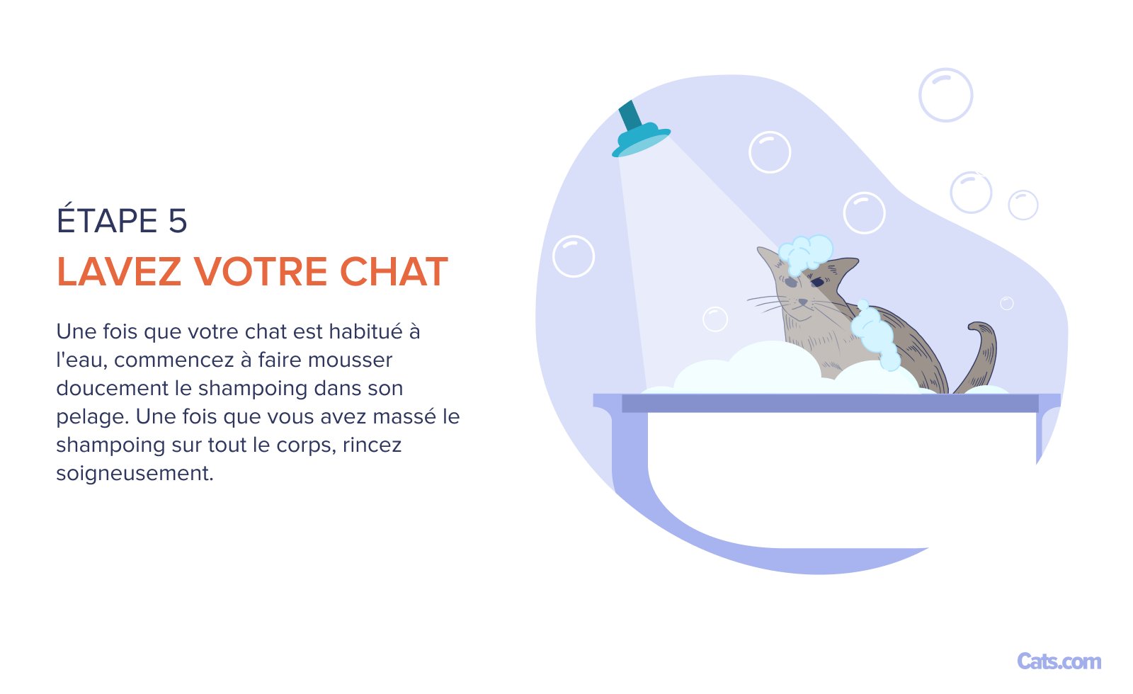 Étape 5 : Donner un bain au chat