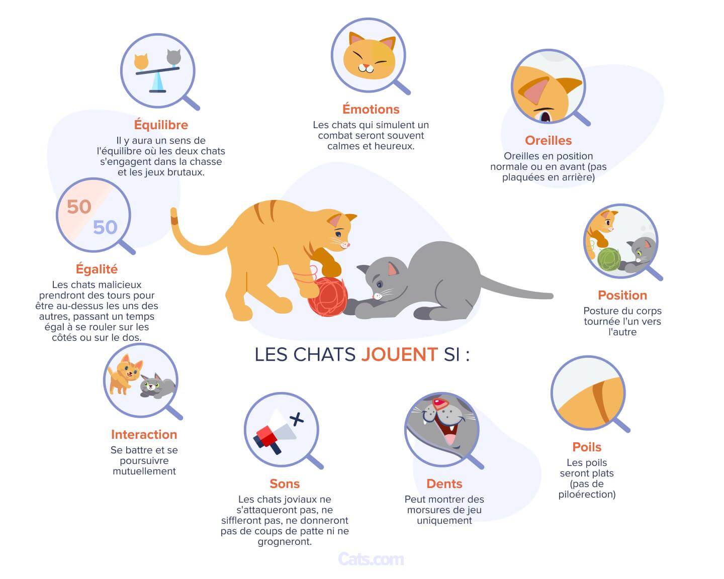 Signes indiquant que vos chats jouent