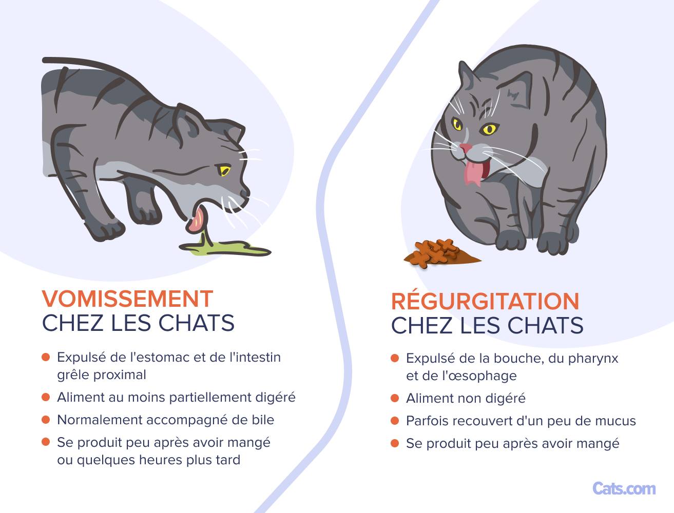 Vomissements ou régurgitation : à quoi dois-je faire face ?