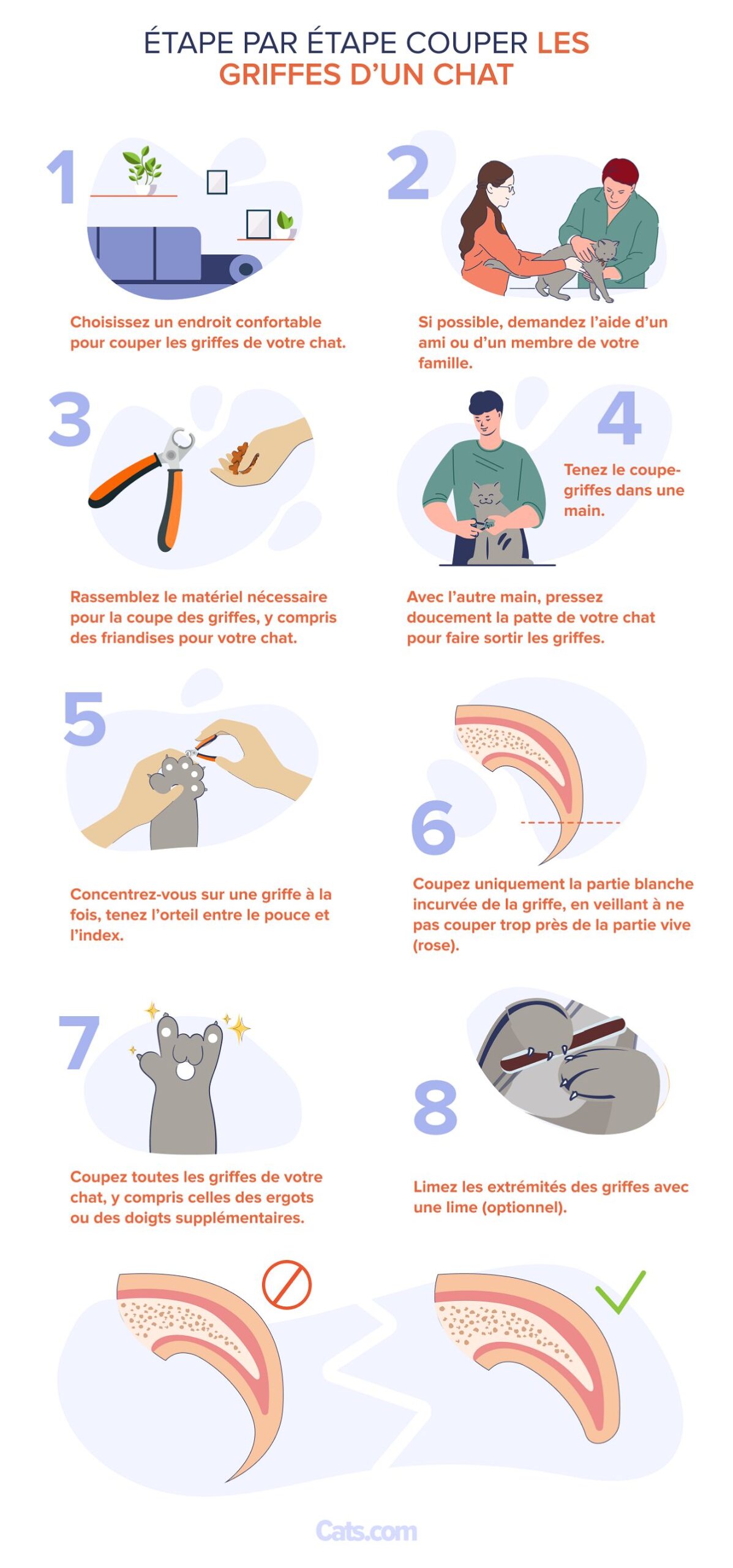 Voici une description étape par étape de la coupe des ongles d'un chat