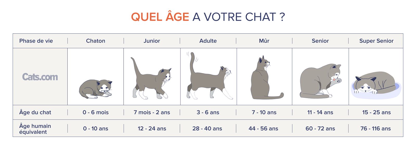 Tableau de calcul des années de chat