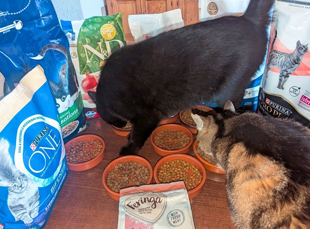 Les meilleurs produits pour l'alimentation d'un chat en France