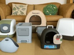 Litter Boxes Display in Living Room