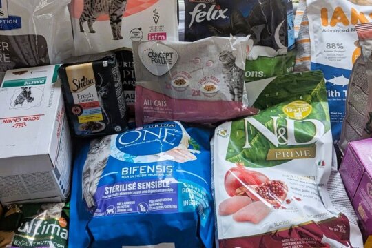 Les meilleurs produits pour l'alimentation d'un chat en France.